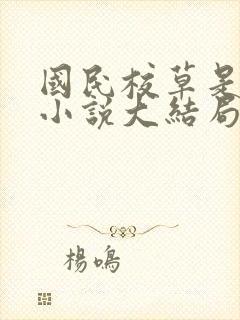 国民校草是女生小说大结局