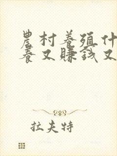 农村养殖什么好养又赚钱又好卖