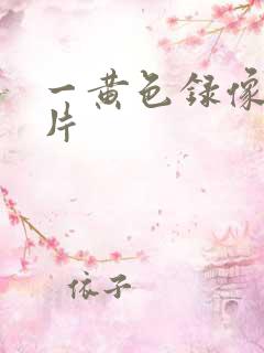 一黄色录像一级片