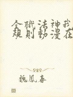 全职法神我即是规则动漫在线观看