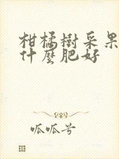 柑橘树采果后用什么肥好