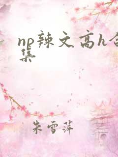 np辣文高h合集