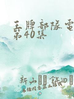 王牌部队电视剧第40集