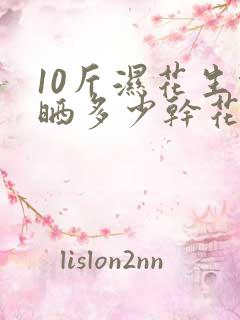 10斤湿花生能晒多少干花生