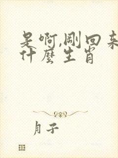 是啊,刚回来指什么生肖