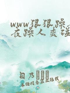 www狠狠躁夜夜躁人爽碰av