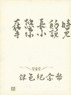 在悠长的时光里等你小说免费阅读