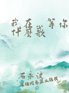 我在…等你来是什么歌
