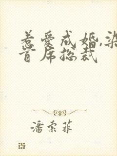 惹爱成婚,染指首席总裁 惹爱成婚,染指首席总裁