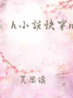 h小说快穿np