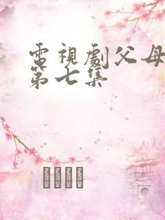 电视剧父母爱情第七集