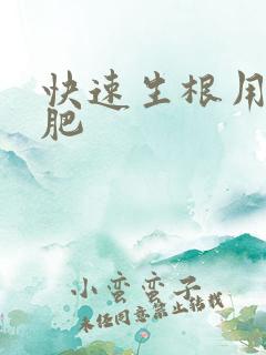 快速生根用什么肥