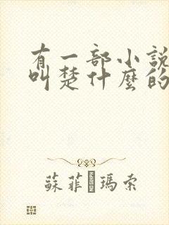 有一部小说主角叫楚什么的