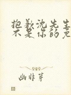 抱歉沈先生孩子不是你的免费观看