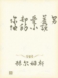 你却爱着另一个他的小说