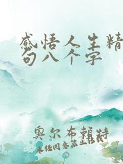 感悟人生精辟短句八个字 感悟人生精辟短句八个字