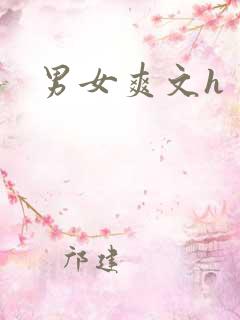男女爽文h