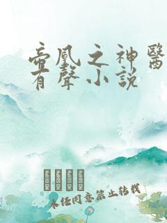 帝凰之神医弃妃有声小说
