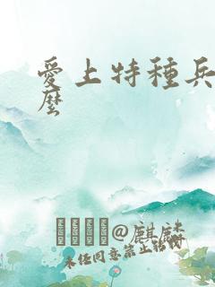 爱上特种兵是什么