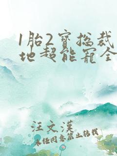 1胎2宝总裁爹地超能宠全文免费阅读