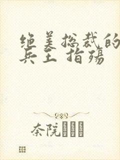 绝美总裁的贴身兵王 指殇
