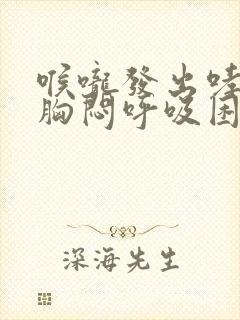 喉咙发出哮鸣音胸闷呼吸困难