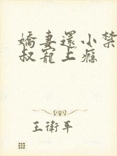 娇妻还小禁欲大叔宠上瘾