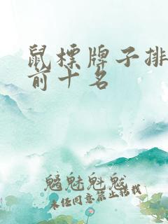 鼠标牌子排行榜前十名
