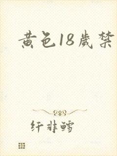 黄色18岁禁