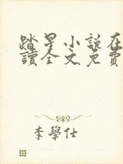 踏星小说在线阅读全文免费