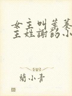 女主叫叶蓁蓁男主姓谢的小说