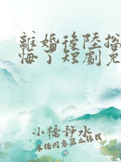 离婚后陆总他后悔了短剧免费观看