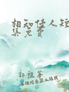 相知佳人短剧全集免费