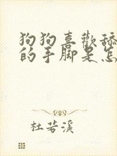 狗狗喜欢舔主人的手脚是怎么