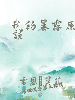我的暴露原著小说