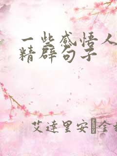 一些感悟人生的精辟句子