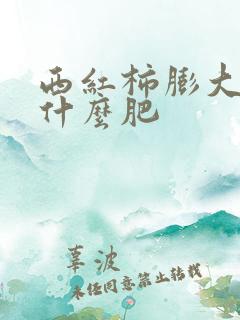 西红柿膨大期冲什么肥