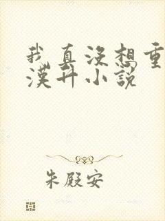 我真没想重生陈汉升小说