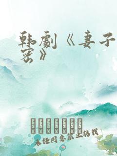 韩剧《妻子的秘密》