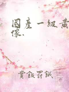 国产一级黄色录像.