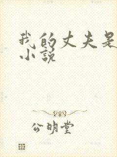 我的丈夫是只狗小说