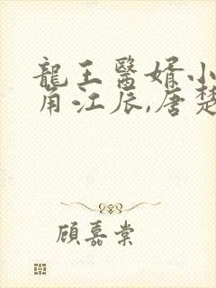 龙王医婿小说主角江辰,唐楚楚