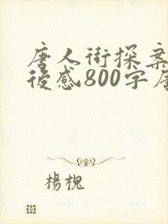 唐人街探案3观后感800字唐人街探案3 唐人街探案3观后感800字唐人街探案3