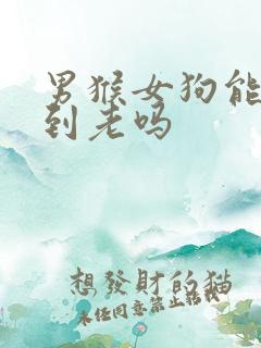 男猴女狗能白头到老吗