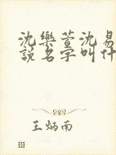 沈乐萱沈易的小说名字叫什么