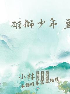 雄狮少年 豆瓣
