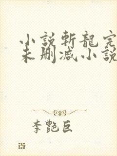 小说斩龙完整版未删减小说