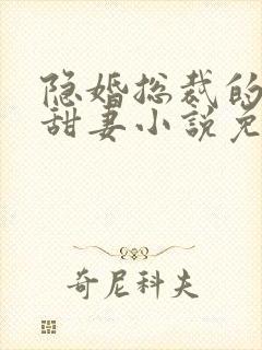 隐婚总裁的绯闻甜妻小说免费阅读