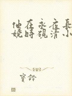 他在永夜长眠苏娆时砚清小说阅读 他在永夜长眠苏娆时砚清小说阅读