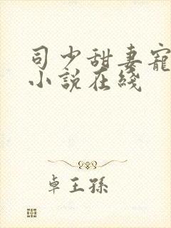 司少甜妻宠定了小说在线